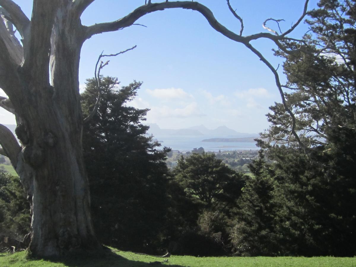 Hyecroft Lodge Whangarei Dış mekan fotoğraf