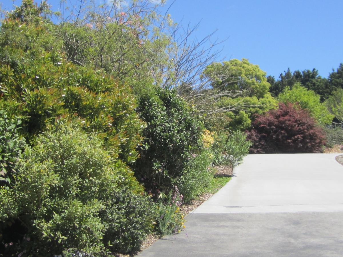 Hyecroft Lodge Whangarei Dış mekan fotoğraf